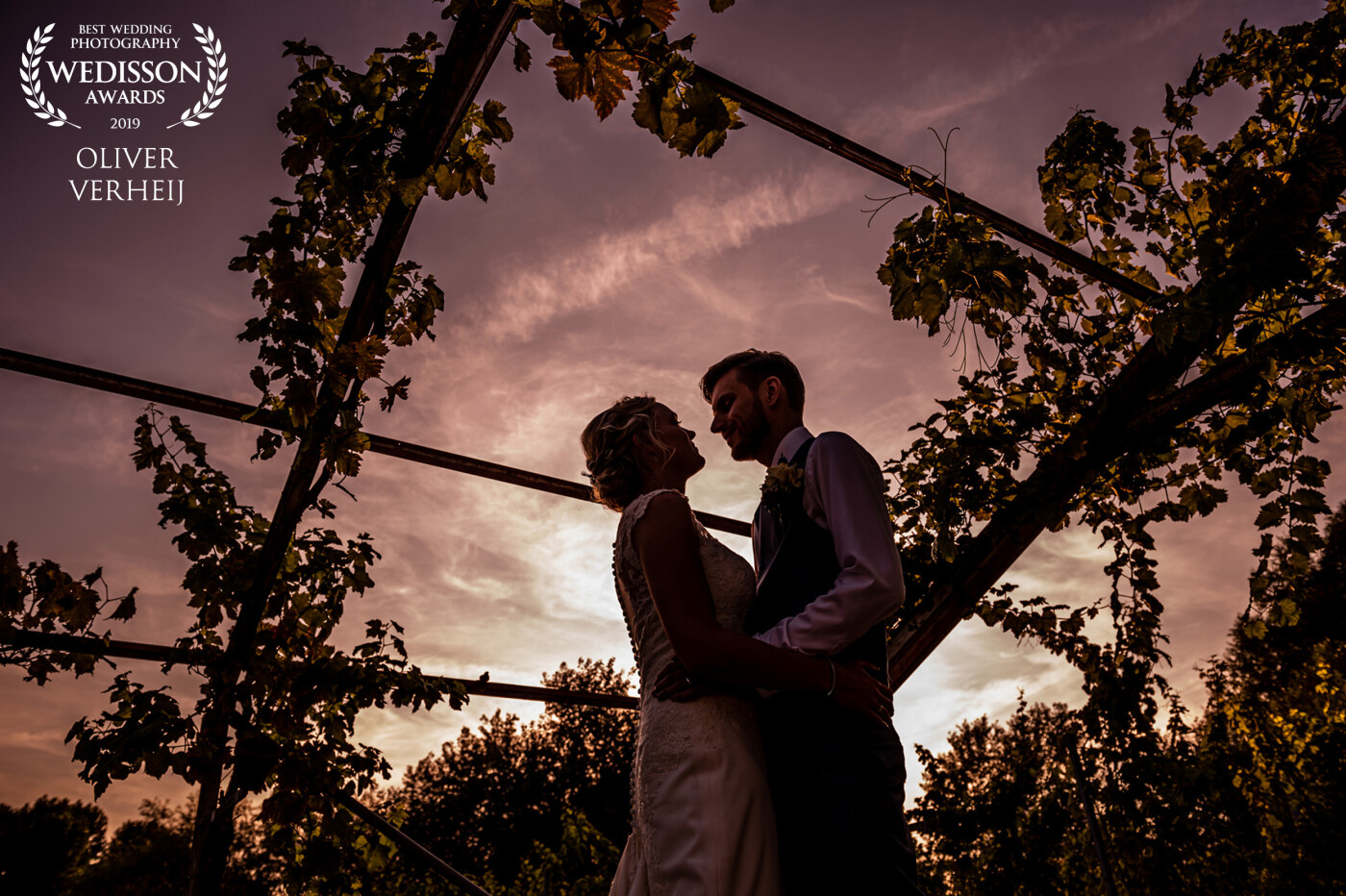After the dinner, when the light was awesome, I took the couple outside into a vineyard where I made this awesome semi-silhouette.<br />
<br />
<br />
