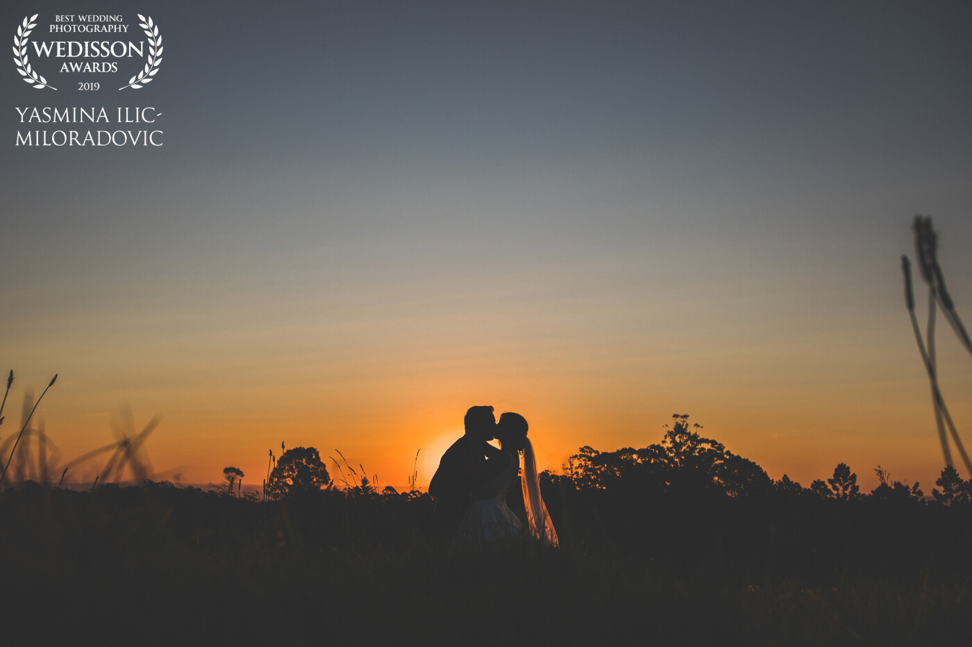 I had found an empty field right next to Megan and Toby's reception venue (Biviano's in Dural, Sydney) so had them go for a walk through the long grass. It just happened to be perfectly timed with the sunset. 