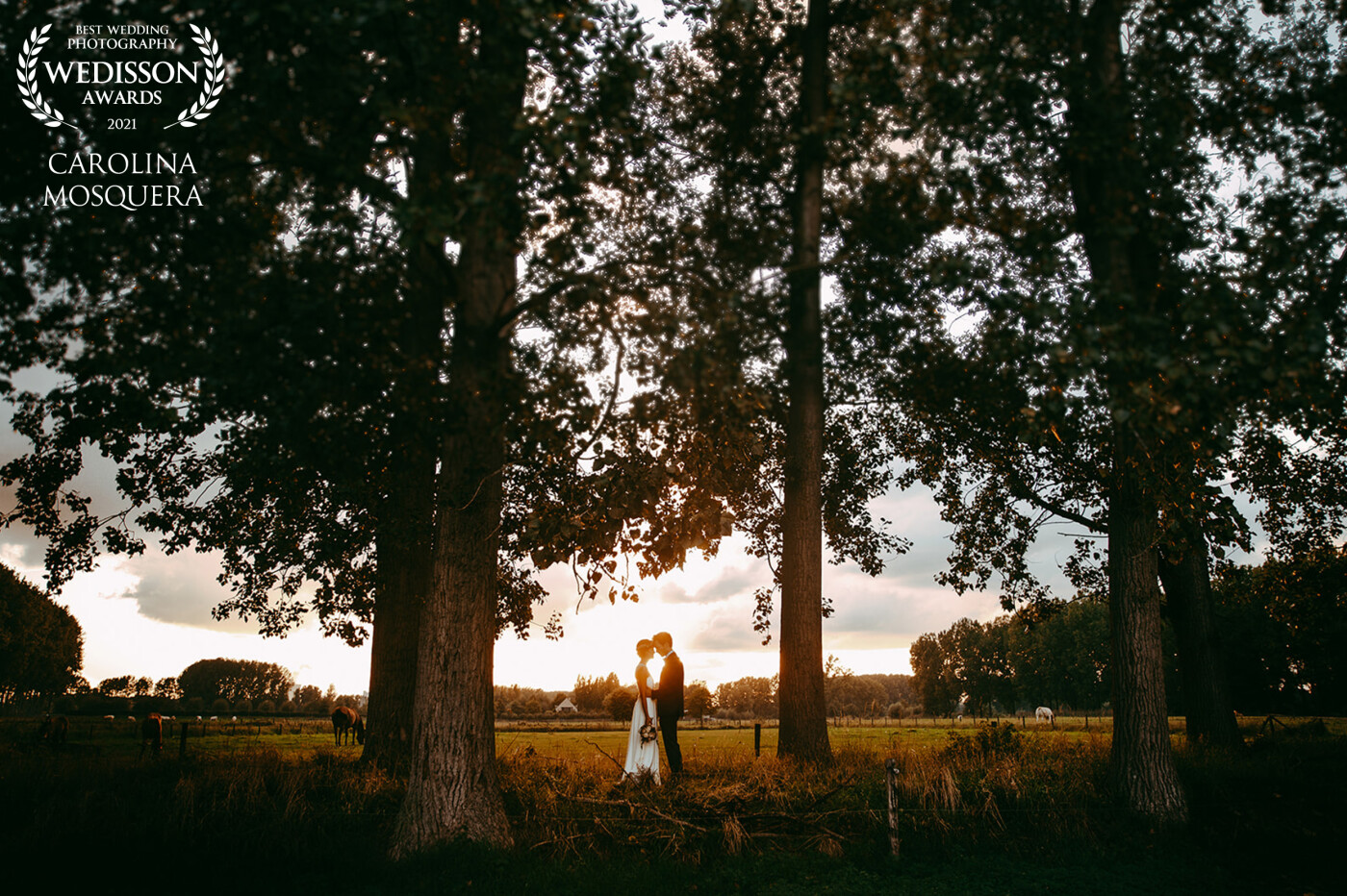 We love golden hours... Every time we have a wedding, we as photographers are waiting for the perfect light. This location was perfect