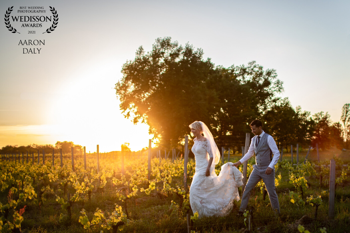 Haley & Rob making their way through the vines for the sunset of their french wedding day. An amazing wedding vineyard venue & celebrations to match!
