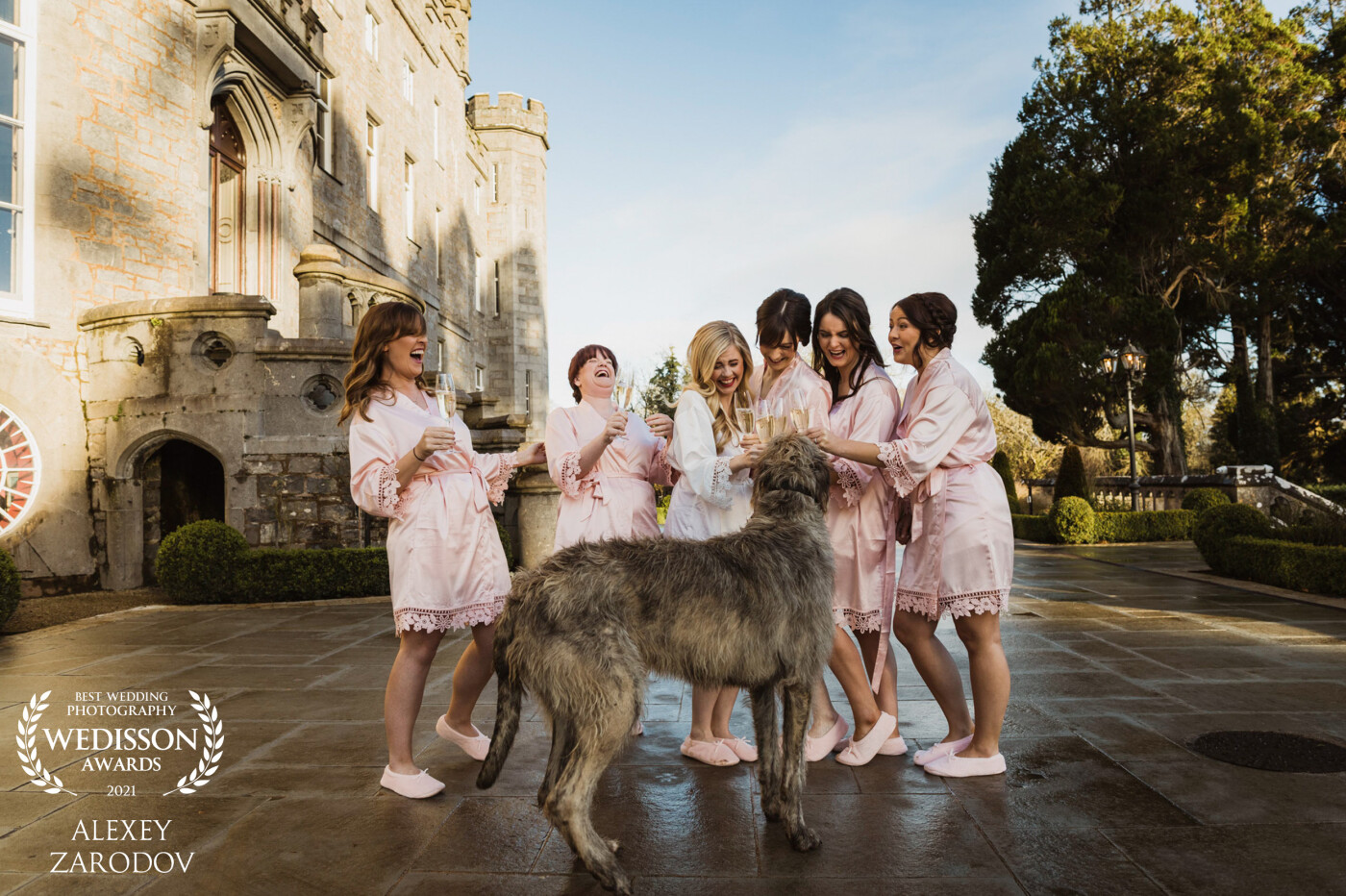 Roisin, Irish wolfhound, Markree Castle doggie, decided to join Sarah's morning Shamp-Shamp party! So welcoming! She was actually liking the Champagne from the girls galsses!