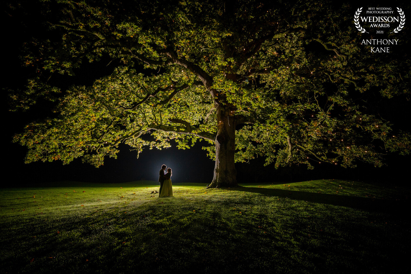 Love under the Old Oak tree... A night time portrait of a beautiful couple, under a beautiful tree, after a beautiful wedding. Beautiful.