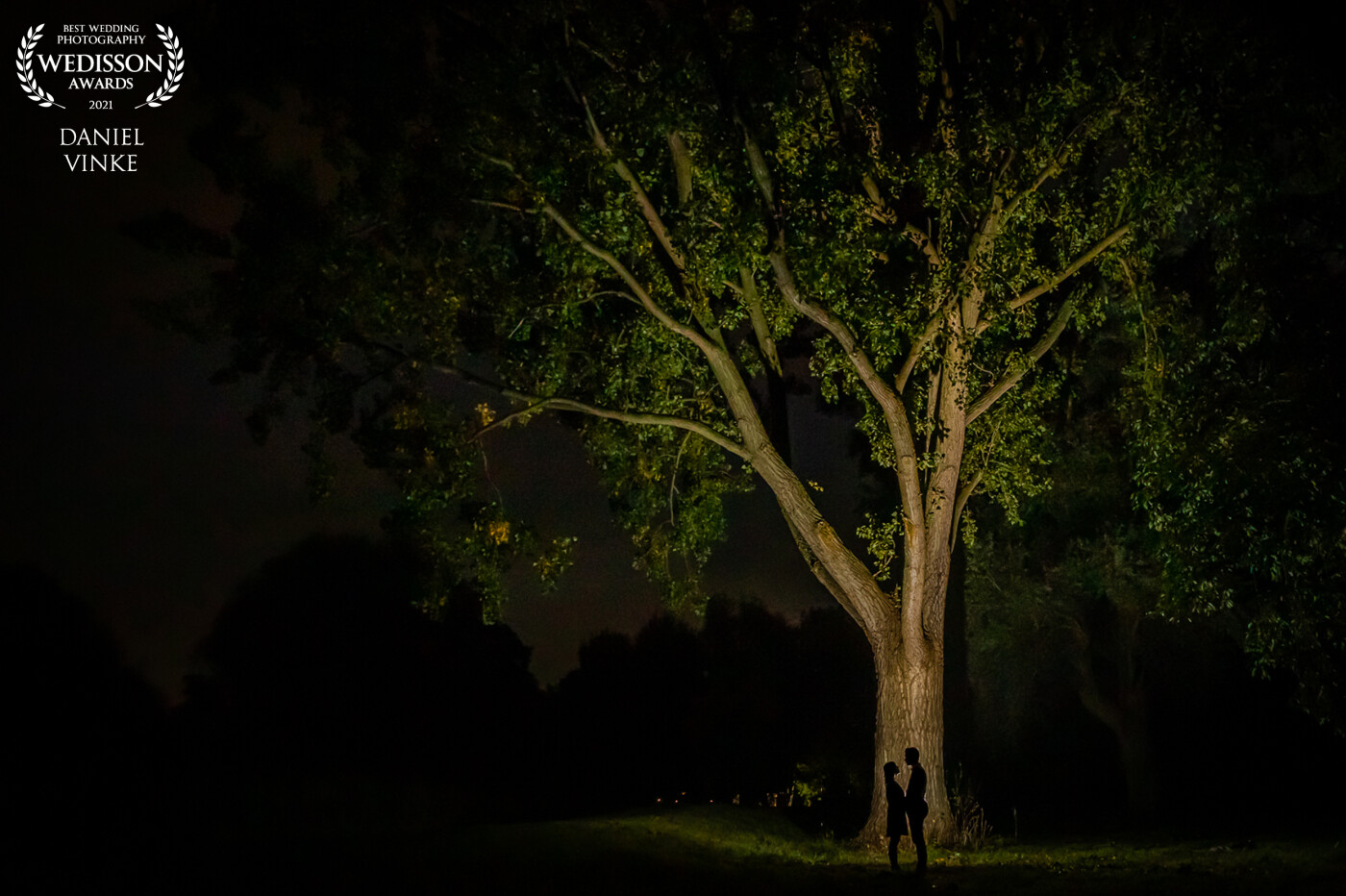 There are not a lot of big trees where I live. This is the only one I know in Schiedam. Lit up the tree with an AD200PRO and the couple made a nice silhouette in front of the flash. Turned out great!