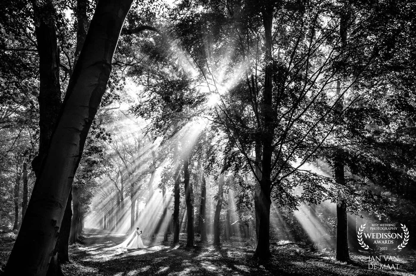 I love light rays and autumn is the season to see them. We were quite early in the morning for the formal photoshoot and we got rewarded by a stunning display of sunrays everywhere. A bit confused where to place the couple I also knew I had to be fast; it could be gone in minutes. But I was lucky to photograph in these circumstances for about ten minutes or so before it vanished.