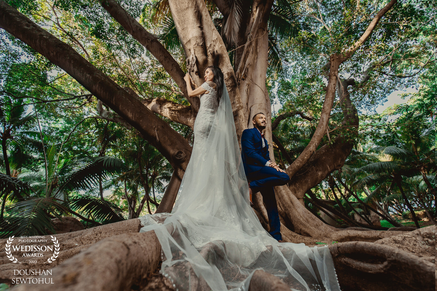 The Wedding Dress of any bride is unique. All brides love to showcase the beauty of their dresses.  So did Melaniee. The enormous tree and interlocking roots were also very important for this composition. The groom, David, creates the perfect balance with his presence.<br />
<br />
Ad600pro<br />
5d Mark IV