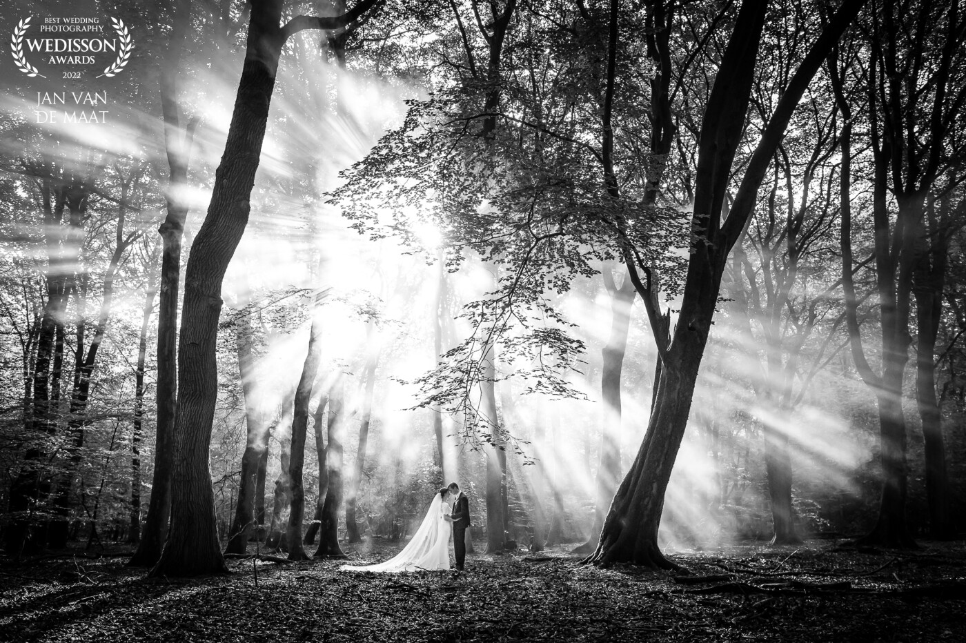 My couple wanted their photo session in the forest. It was the last day of August and we arrived there quite early in the morning. The sun created a beautiful 'splash' of light rays so I only had to lead the couple into the right place and I could take this photo!