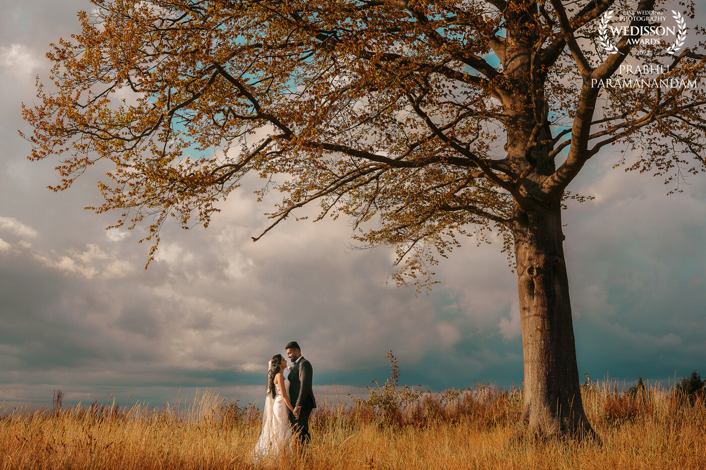 The tree was standing alone in the big grass fields and to have the couple beneath it made a perfect frame. I was very far away from the couple and shot this from a wide angle.