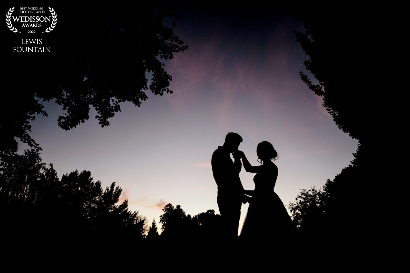 Nicole and Ollies wedding at Chippenham Park was an awesome day, packed full of amazing photographic opportunities. While we were waiting for a sunset when I spotted this area off trees, which I knew would give a perfect silhouette with a natural vignette.