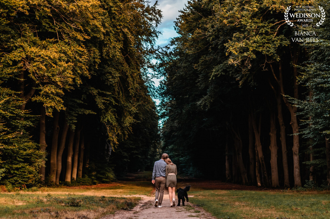 This photo was taken during a pre-wedding shoot. The couple wanted to include their dog in the photo's as he was an essential member of the family. When we were planning the shoot, the couple mentioned they wanted to take pictures in the forest/park where they always walked the dog. I was surprised by this stunning location. In combination with a stunning sundown, it gave me  Jane Austin kind of vibes. Therefore, I wanted to give the photo a classic feel, as if it could be a painting.