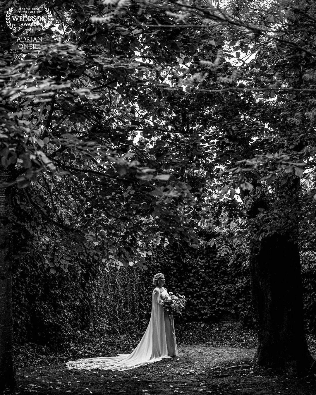 To look at this area of the hotel grounds you'd might not think anything of it....but by placing the bride on the light on the other side of the dark trees it gave a lovely dimension to the image