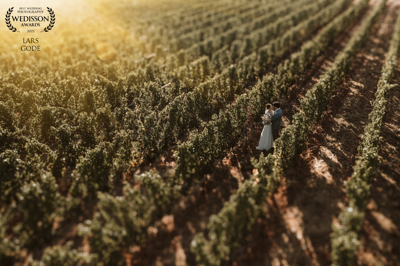 In the vineyards of southern Germany in the evening sun, this beautiful photo was taken with a drone.