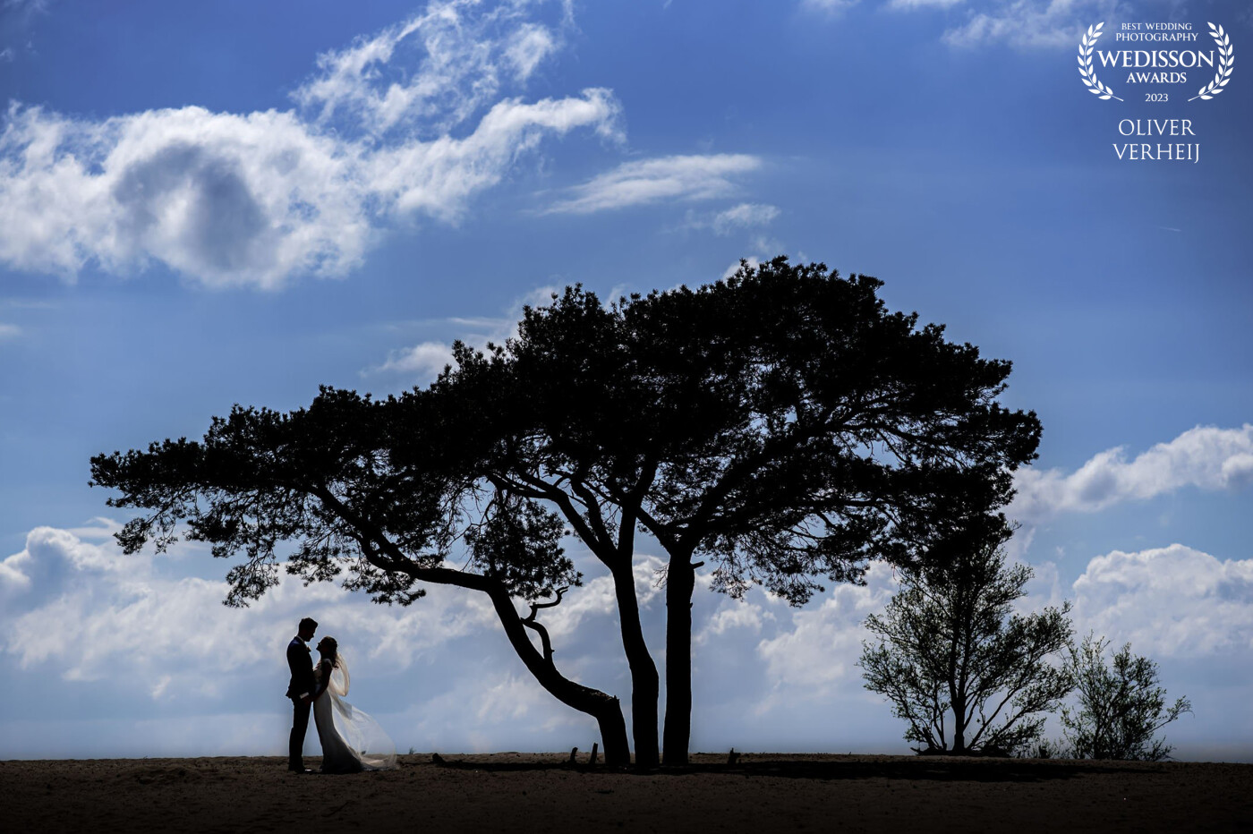 In this beautiful silhouette shot, the focus is on the shape of the bridal couple and the striking tree.