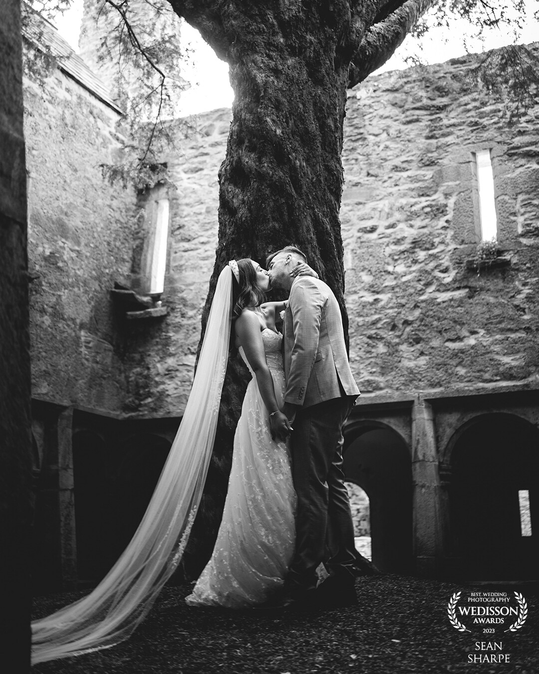 Louise and Ted under the beautiful yew tree growing inside the ruins of Muckross Abbey, Killarney. Such a unique place and a stunning backdrop for a couple’s session.
