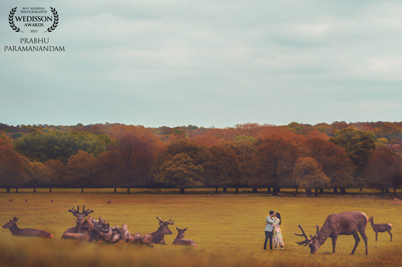 Adding to the picturesque background with such vibrant colours, the elegant moose, the enchanting blue sky was all that was needed for this shot. When I saw the frame I just had to shoot the couple in this beautiful frame. Nature is a vision by itself.