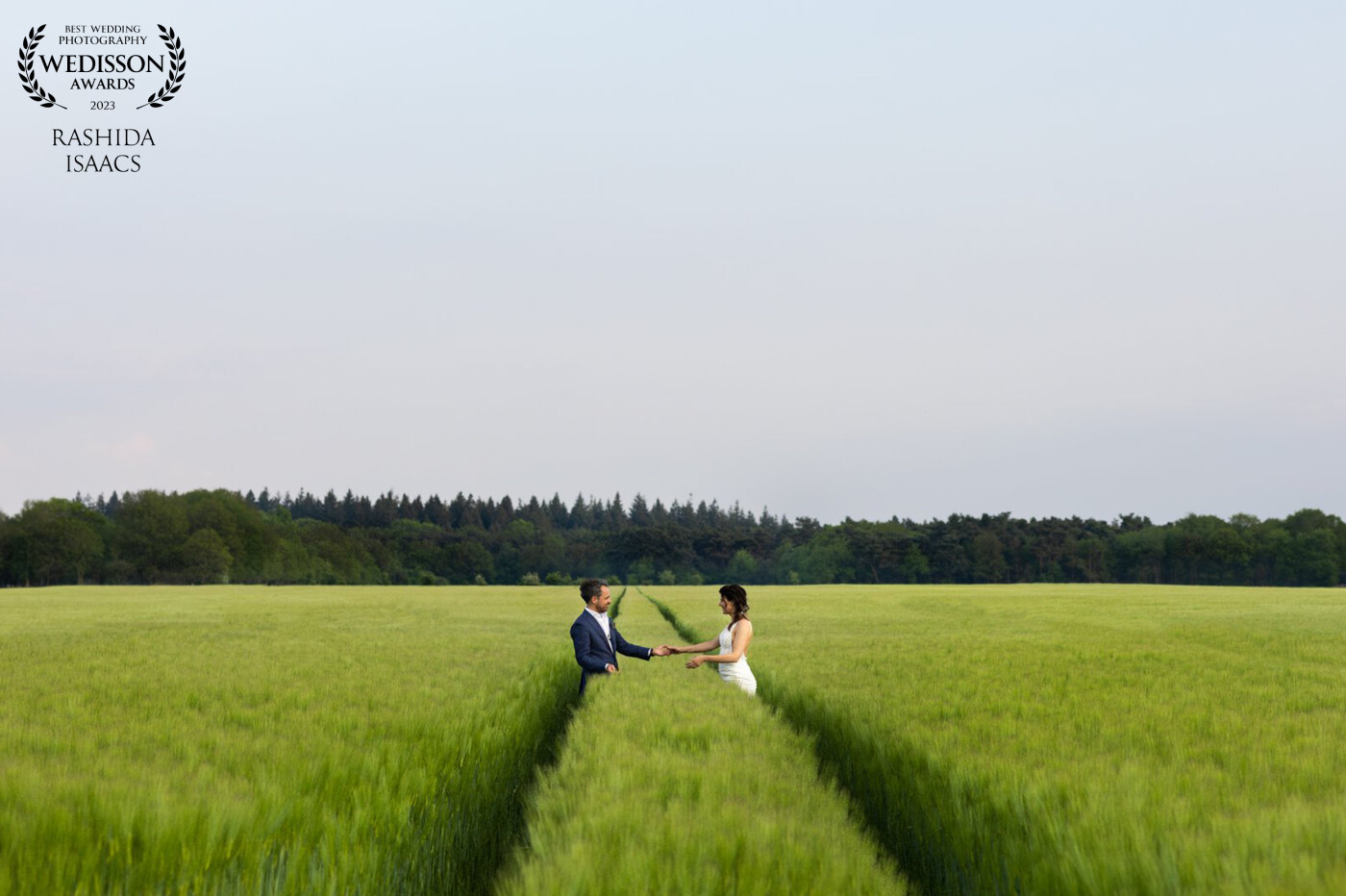 Once I saw the green field and those spaces in between I couldn't stop imagining the bride and groom standing there.