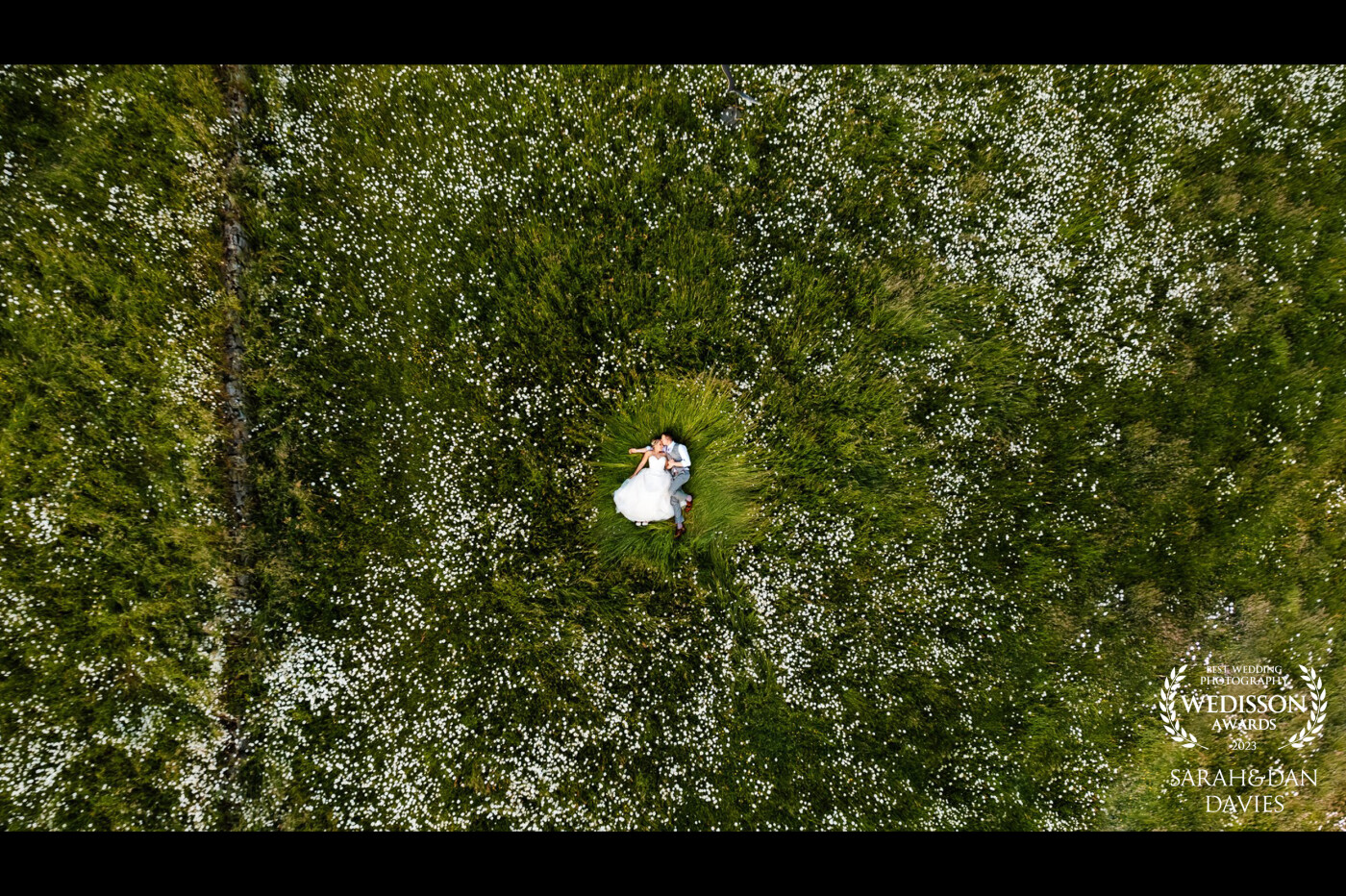 We saw this daisy field earlier in the day and knew it'd make a perfect drone shot and a chance for these two to have a few minutes alone