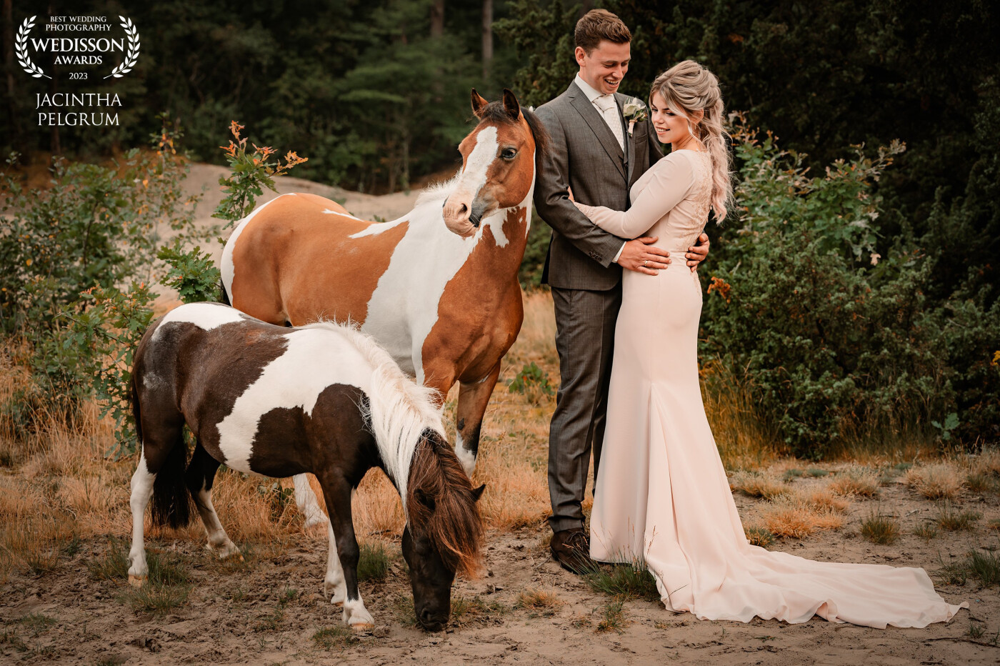 The bridal couple wanted to make pictures with there beautiful ponies.