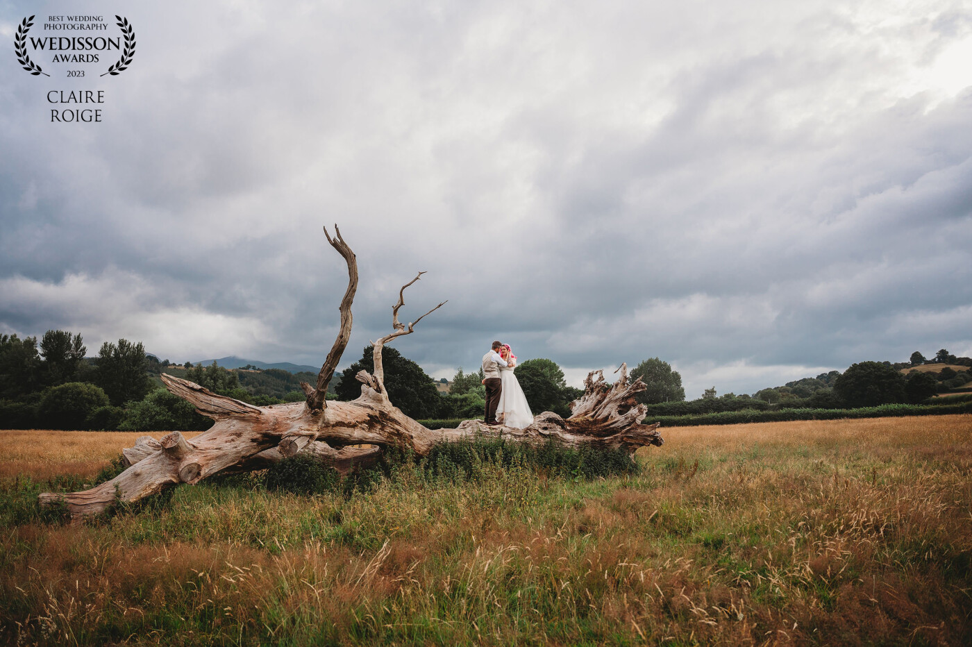 We set off to do our couples photos away from the wedding guest when the bride mentioned seeing a strange looking tree during their venue visit. We went hunting round a few fields till we found the famous tree! Bride and Groom were happy to partake in a bit of climbing for this shot.