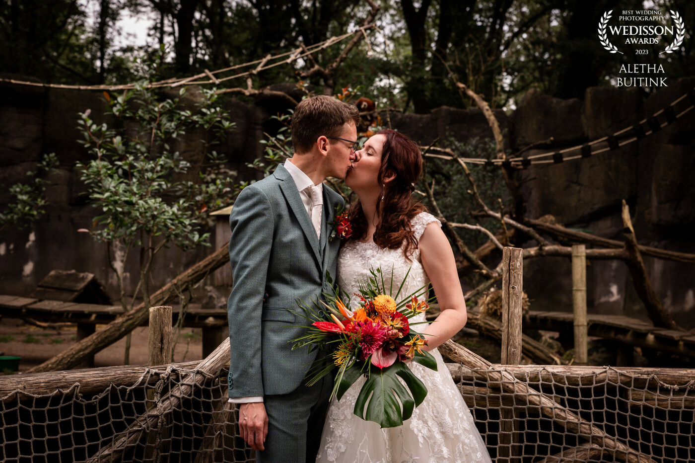 This photo is taken at the zoo where this couple got married.  The lines in the photo and the brown panda in the background brings everything together.