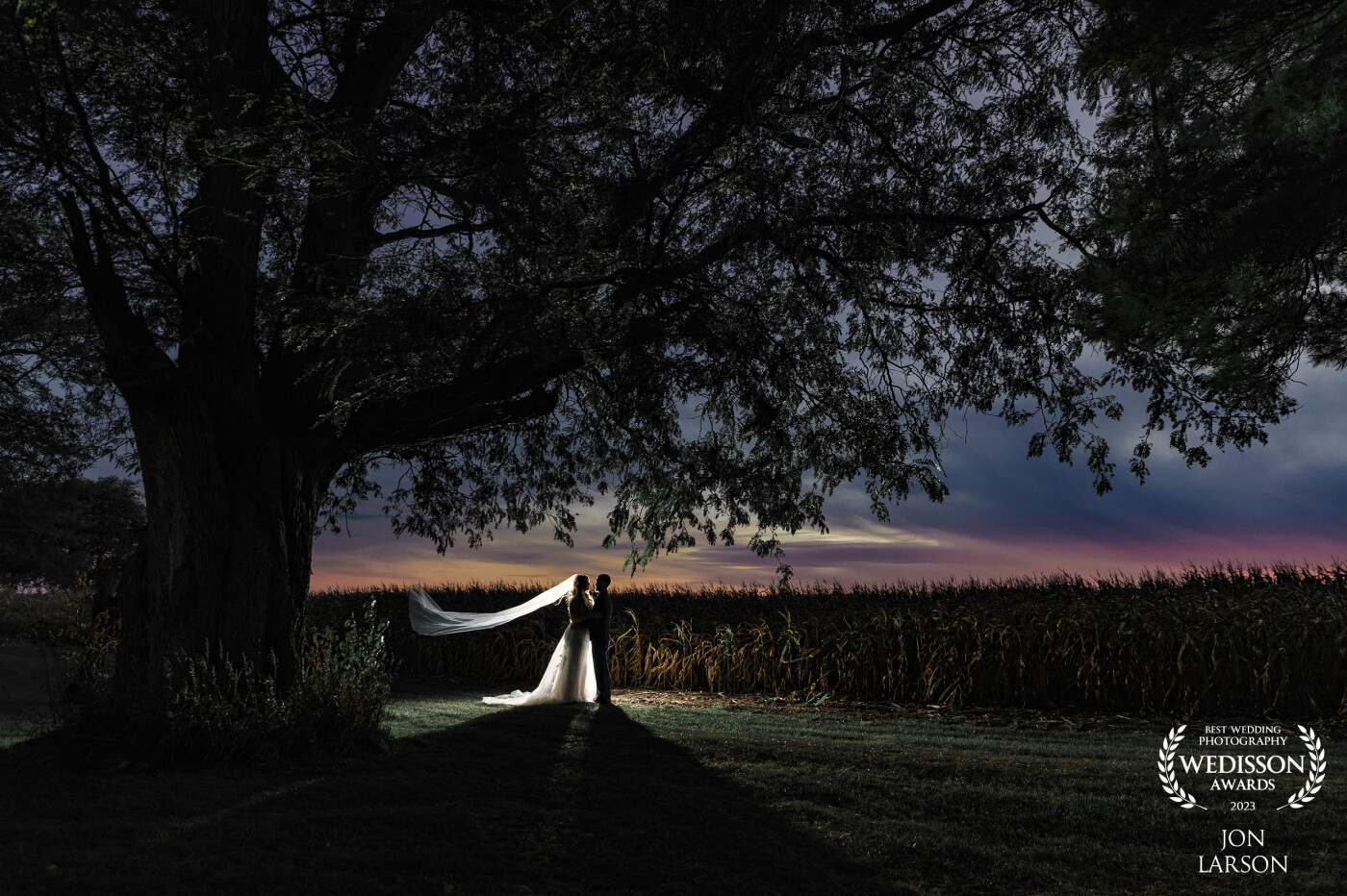 Sun setting quickly into the night. The bride and groom framed perfectly under a single tree over hanging the October cornfields added to this beautiful couple as they embraced in love under the setting sun.