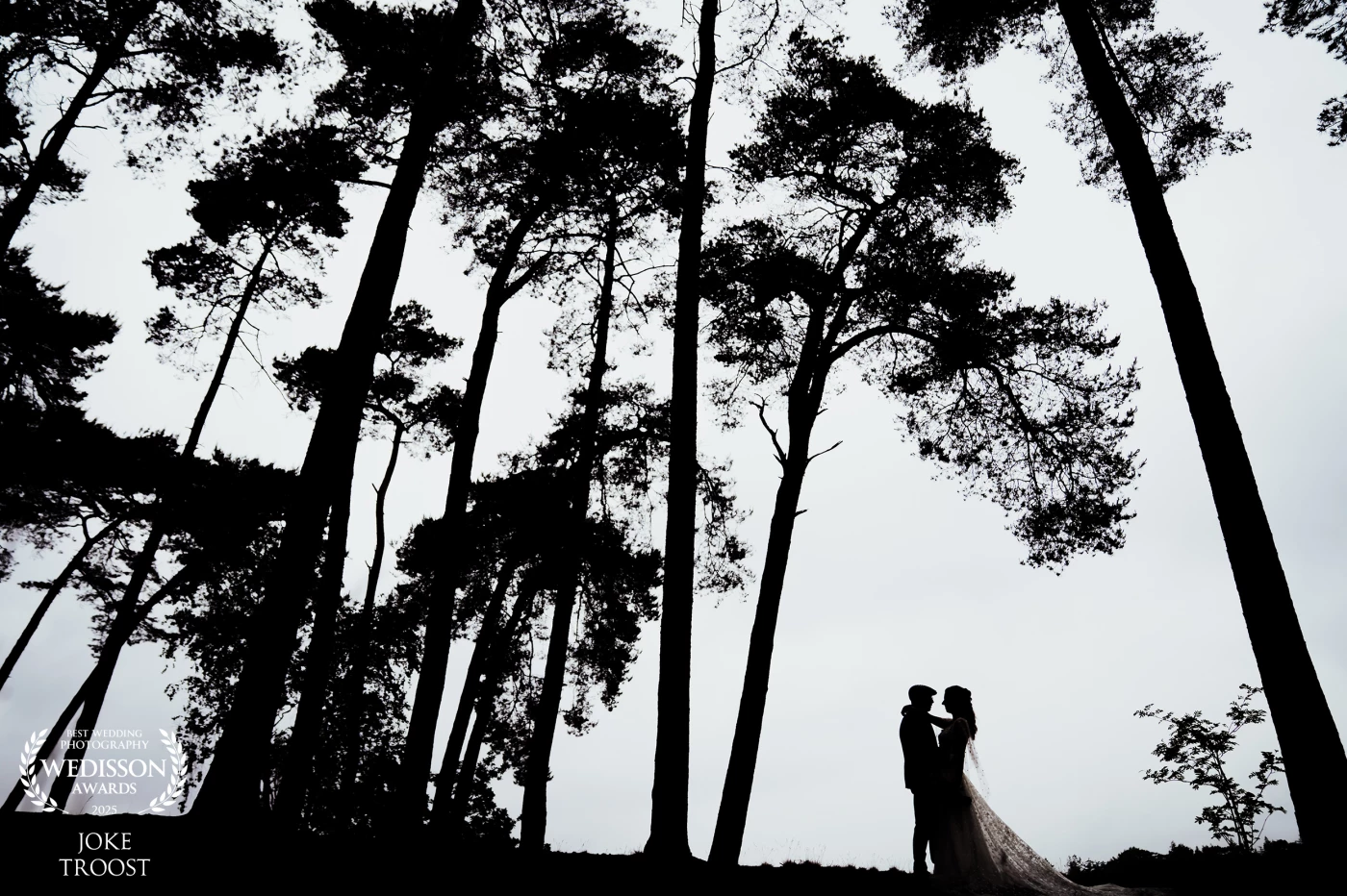 On the beautiful shores of the Dutch Henschotermeer, I saw a silhouette appear against the backlight. This couple stood still for a while so I could find just the right composition—but it was more than worth it!