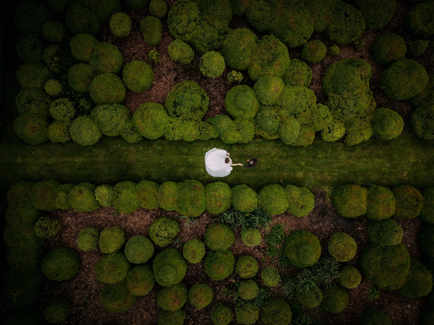 Bushes and bridal couples — a perfect match if you ask us!